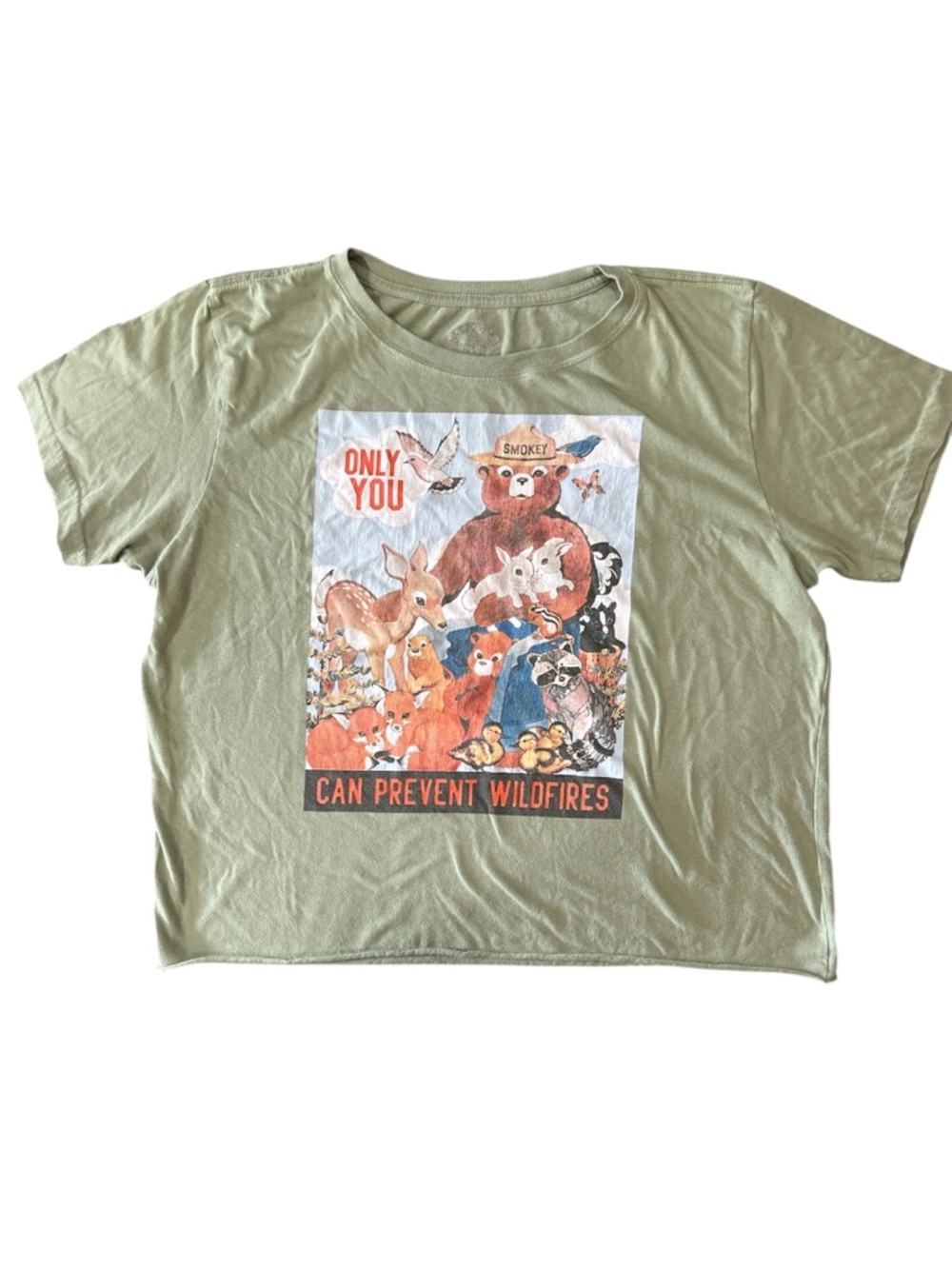 Smokey the Bear Green Graphic Tee - Kids size XXL